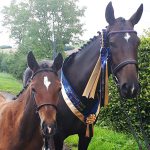 Lady Brave and her foal Pure Imagination after becoming Elite Foals Registration Tour Eventing Regional Champion 2018